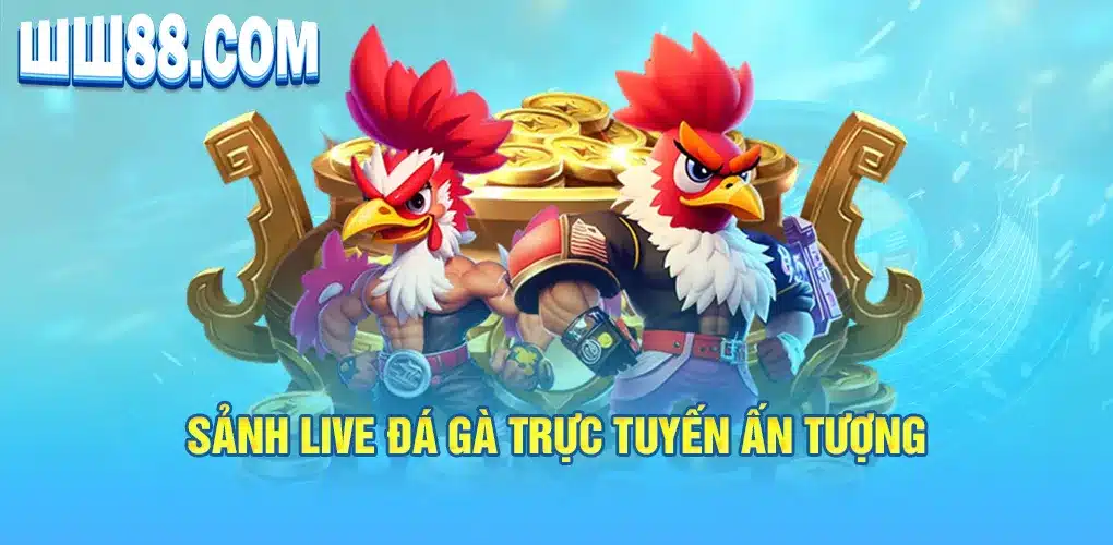 Sảnh Live đá gà trực tuyến ấn tượng