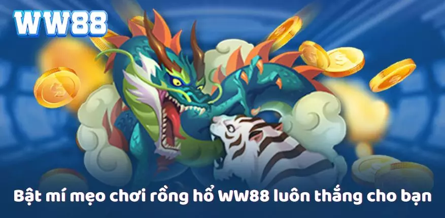 Bật mí mẹo chơi rồng hổ WW88 luôn thắng cho bạn 