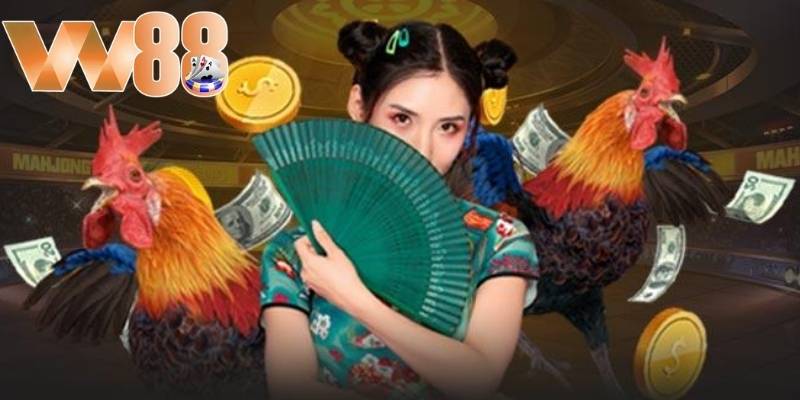 Cách cược đá gà bằng cách chọn trận đấu tham gia