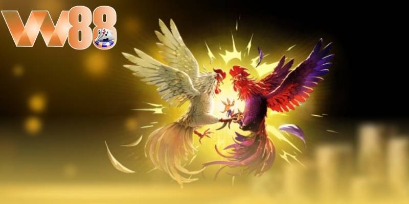 Người chơi cần hiểu rõ về các chiến kê đang tham gia trận đấu